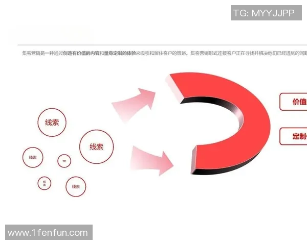 探索CP营销的边界与潜在风险管理策略